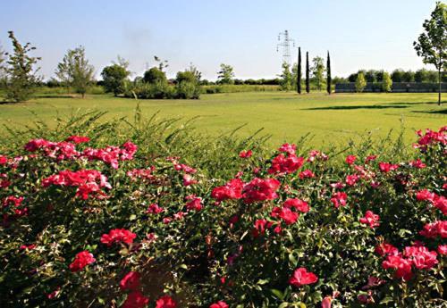 Country House Letizia Verona Exterior foto