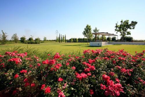 Country House Letizia Verona Exterior foto